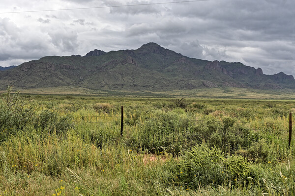 Your Legacy Starts Here!  2 Acres in Deming, NM for Only $99/Month.