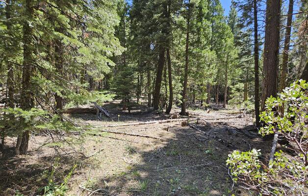 Secluded Corner Lot with Great RV Parking Access 