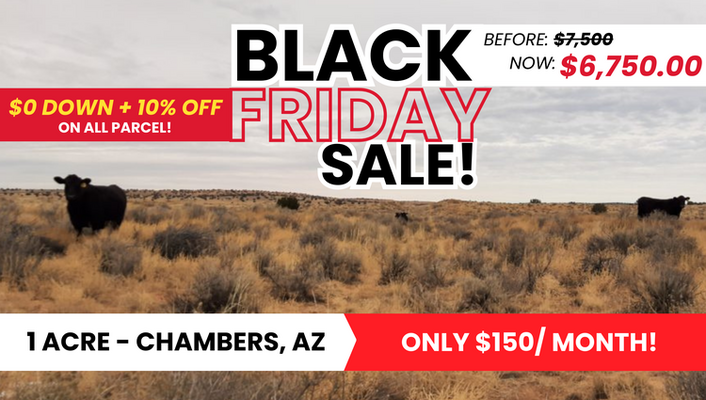 BLACK FRIDAY SALE: 1 Acre In Chambers, AZ ONLY $150/MO!