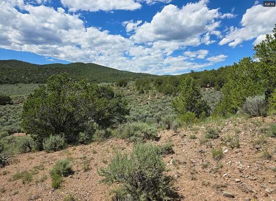 Escape to the Mountains! 5.24 Acres in Fort Garland, CO!