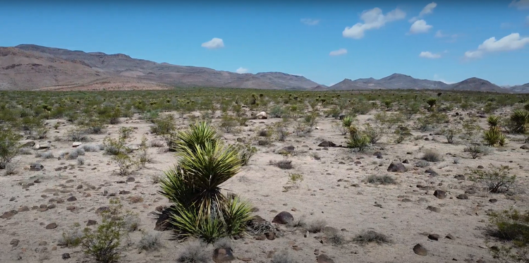 2.1 Acres of Adventure Next to Public Lands in Mohave AZ