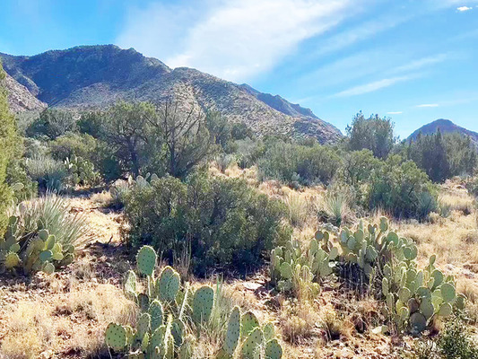 Incredible 10 Acres in Mohave County, AZ - Only $125/Month!