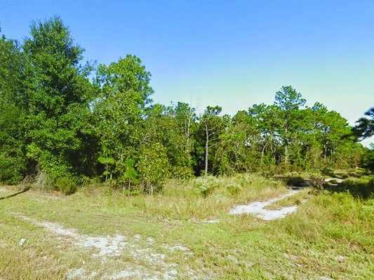 Potential Investment! 0.28 Acre Lot in Putnam, FL - $215/Mo.