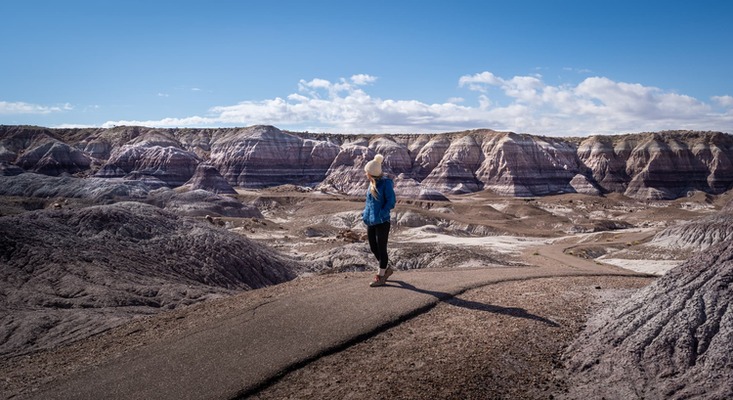 2.5 ac Northern AZ, Petrified Forest National Park - $199/mo