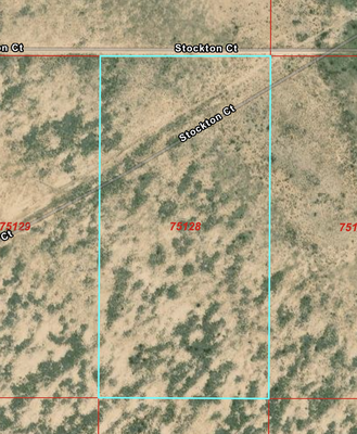 20 Acres in Sierra Blanca, TX!