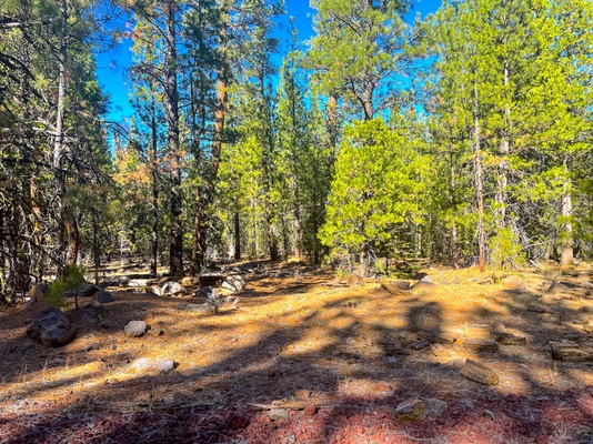 Scenic Land with Outdoor Activities: 1.02 Acres for $125/mo