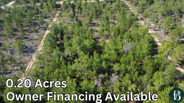 RV-Friendly 0.20-Acre Lot Ready for You in Interlachen, FL