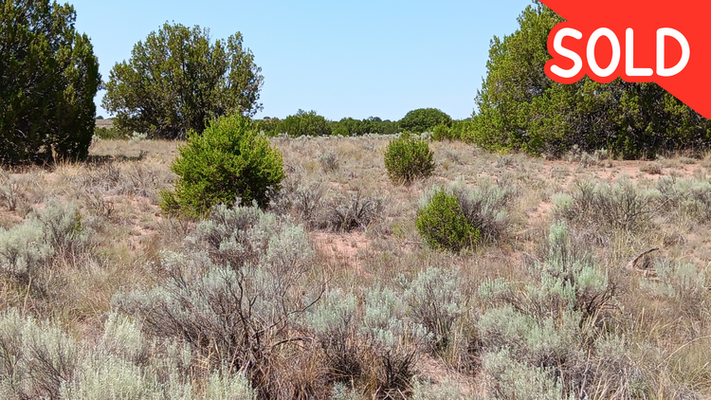 Adjacent Lot Available for 3.3 Acres near Sanders AZ!