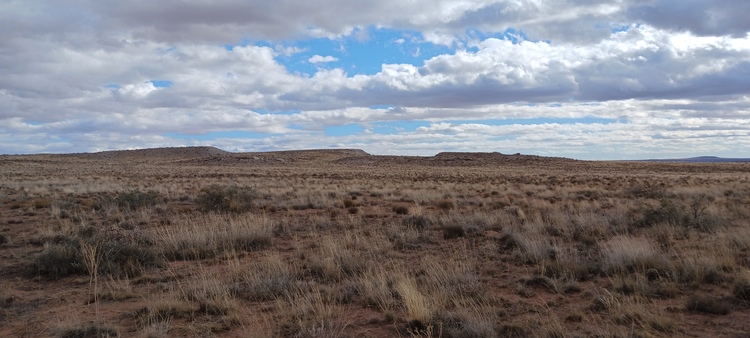 Play Without Restrictions on Your Own 1.16 Acres in Apache