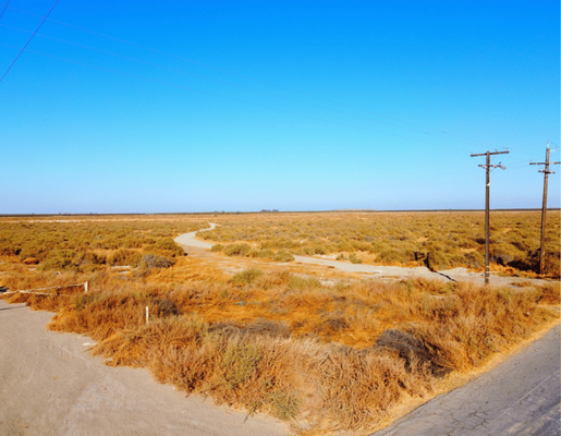 316.26 Acres on Riverside St, Buttonwillow, CA 93206