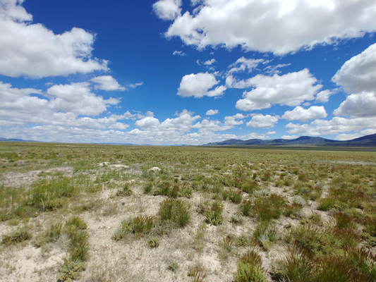 10 Acres, Elko County, Close to Utah Border, Great Access and Mountain Views