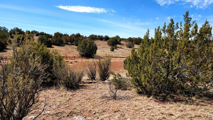 2.6 Acres of Pinyon Paradise near Seligman AZ