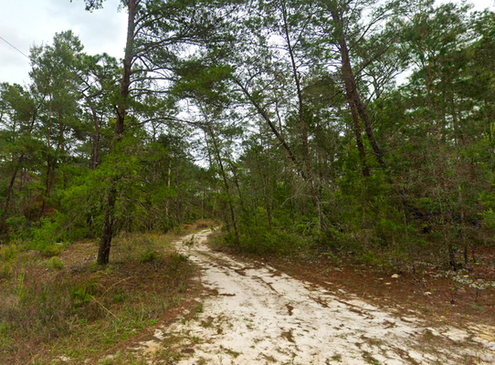 0.23 Acres of Secluded Bliss in Satsuma, Florida