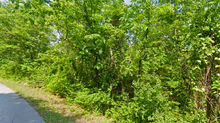 Quiet 0.22-Acre in Horseshoe Bend – Minutes from Town!