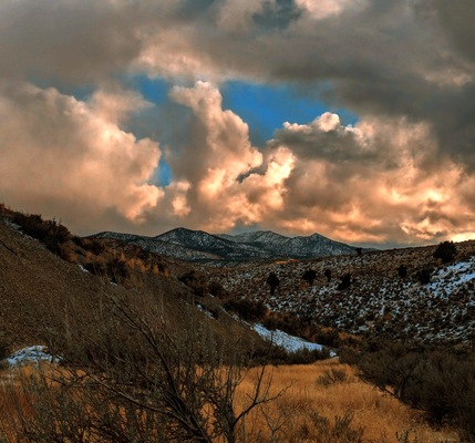 10 Charming Acres in Elko County, NV! $235/Mo