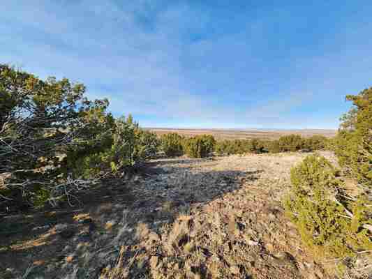 0.37-Acre Lot in Apache County, AZ – Your Desert Retreat!