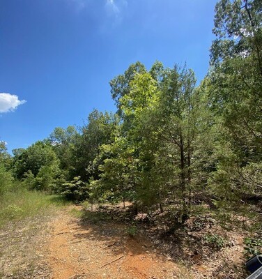 Charming Lot in Izard County, Arkansas Awaits You!