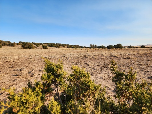 Escape to Your Own Piece of Paradise in Concho, AZ! 1.11 ac