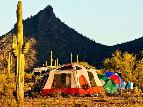 Buildable lot near golf course in Willcox only $199/mo