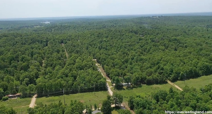 Perfect for Investors or Families – 0.25 Acres in AR 