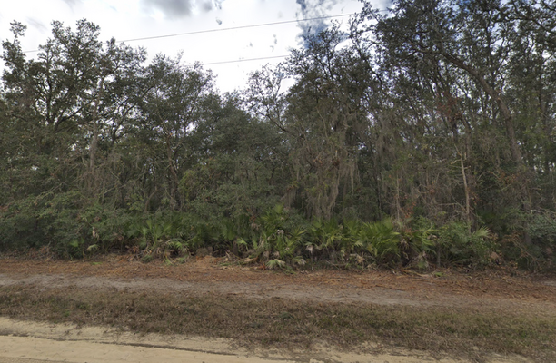 Large Lot - Well Maintained Roads - $395/mo