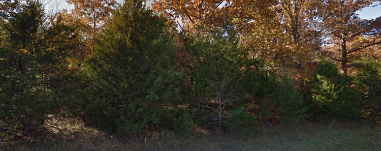 Create Your Dream Retreat: Own 0.4259 Acres in Serene AR! Only $94/Mo.