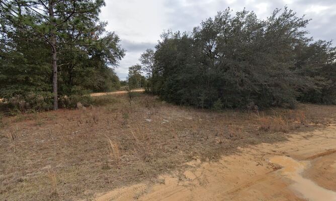 10,000sqft lot in Interlachen – Only $250 Down!