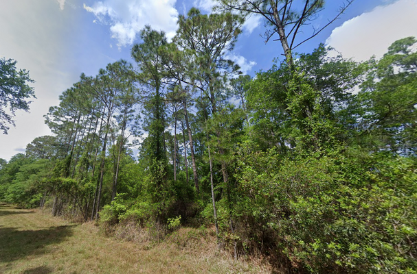 0.23 Acres: Land Ownership Is Easy in Putnam, Fl! $199/mo.!