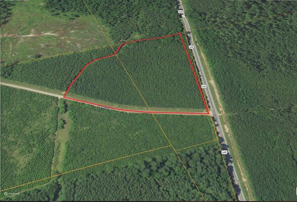 19.77 Acres For Sale in Drew County Arkansas!