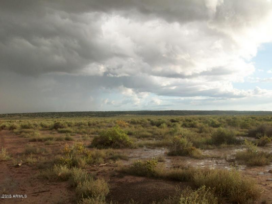 Arizona, Apache County, 10 Acres Arizona Park Estates