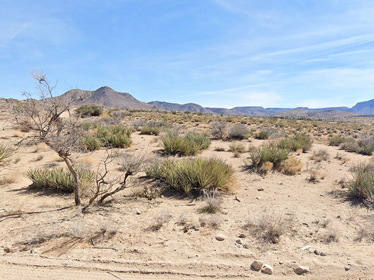 No Down - Incredible 10 Acres in Mohave County, AZ!