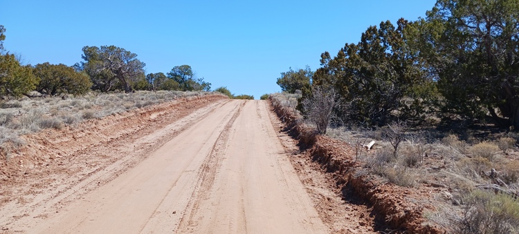 Find Tranquility in Nature on 1.24 Acres in Arizona!