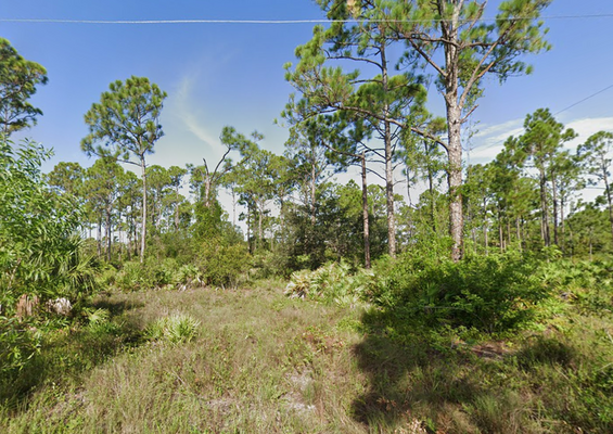 .17 Acre Lot Bathed in Sunshine! Only $295/mo!
