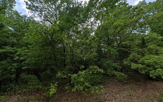 0.31-Acre -$0 DOWN & $95/mo! Horseshoe Bend, AR