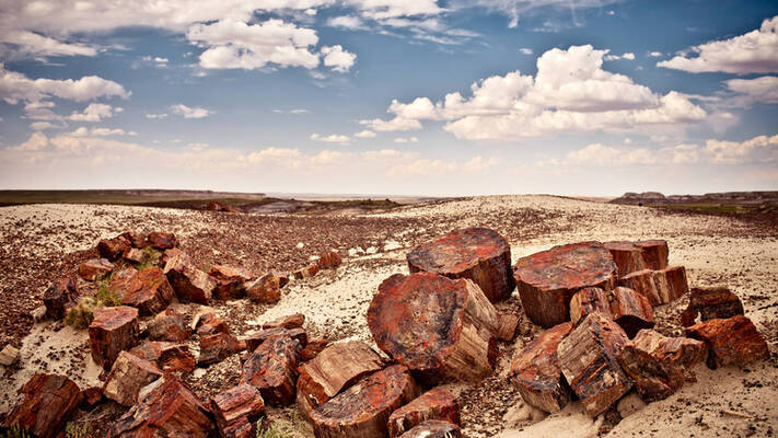 Off-Grid 1.26-Acre Property in Navajo County! Only $89/Mo