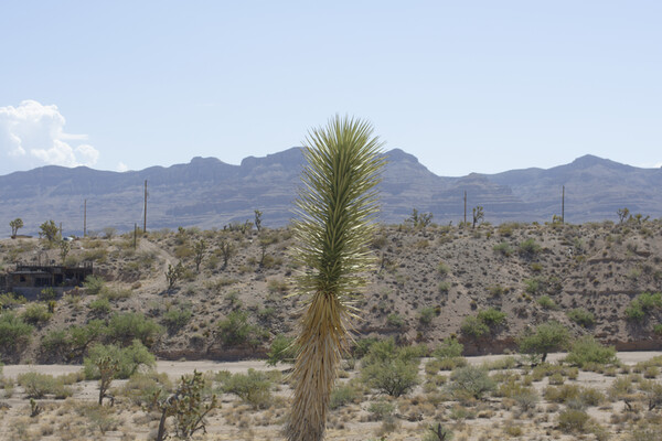 Offroad Land Near Meadview, Arizona! Just $100/Month