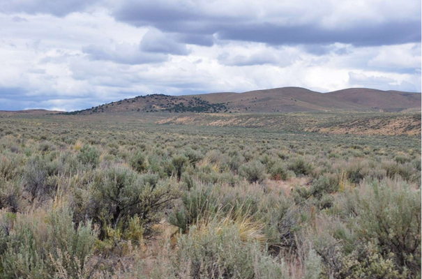 Coveted 1.13-Acre Off-Grid Retreat in Elko, NV $145/Mo