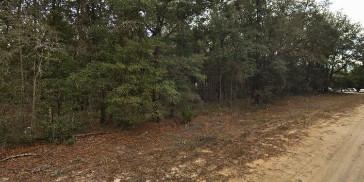 .22 Acres of Sun-Kissed Freedom in Putnam, FL for $230/MO