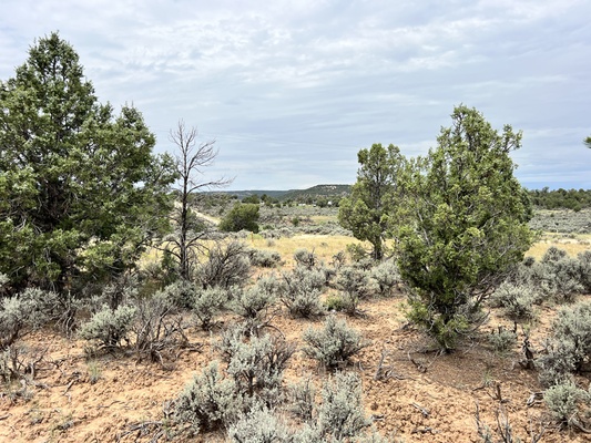 Dream Home Location Near Navajo Reservoir