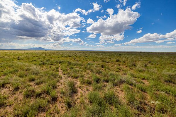 Start Your Land Portfolio with This 0.26-acre Valencia Gem!