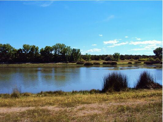 Concho, AZ-0.46 Acres for $80/Mo! *Approved Financing*