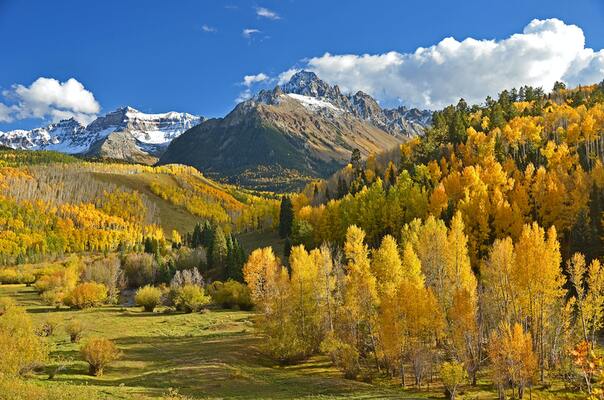 Tired of Desert and plains?  Take a look at this Rare Find!  7.73 Acre San De Cristo Ranch - Colorado - Trees!