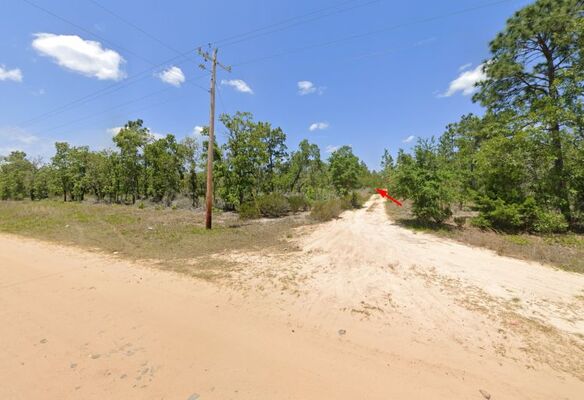 Rec-tastic Land! 0.60 Acres in Hawthorne FL, Only $278/Mo!