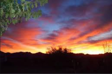 1.15-acre Lot in Golden Valley, AZ! Live Off-Grid Here!