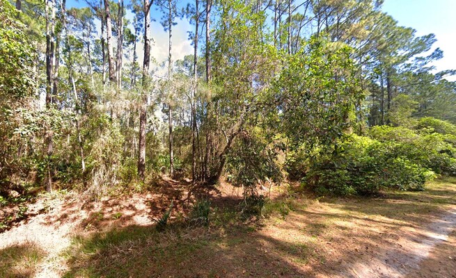 <span style='color:red; font-size: 20.0pt;'><marquee>JUST LISTED!</marquee></s></span>0.23-Acre in Georgetown, FL<strong><span style='color:red;'></span></strong>