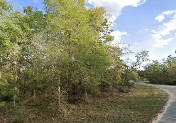 A Little Slice of the Sunshine State - 0.2 acres $150/mo