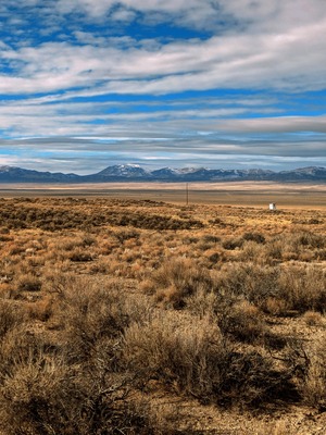 10.20 Ac Classic Estate in Elko, NV! $235/Mo