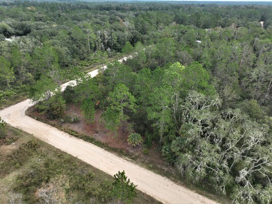 Double Lot in Interlachen, 0.44-Acres with Trees!