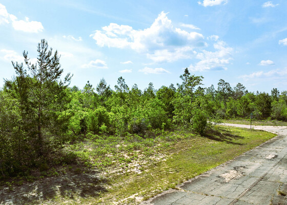 Elvis Hasn’t Left This Building Lot in Sunny Hills - $265/mo