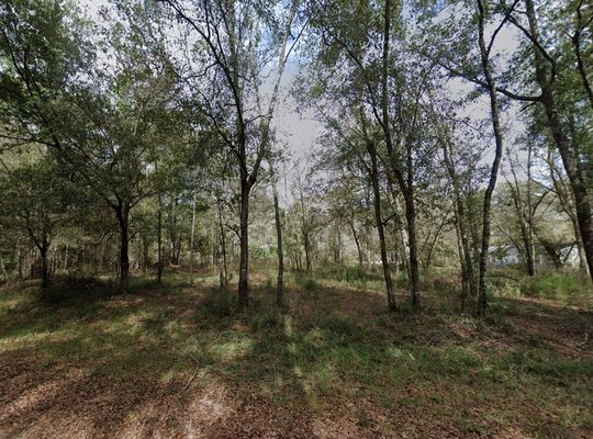 Live the Good Life on 0.22 Acres Residential Land in FL!
